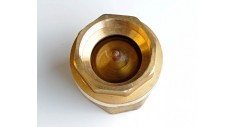 Brass 'Eurostop' spring check valve screwed bsp fig 99